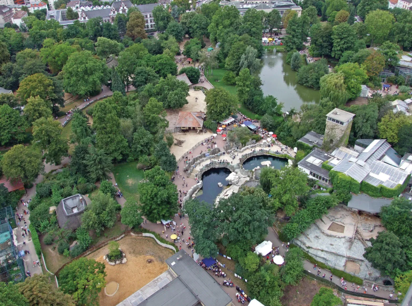 Zoo Frankfurt , Germany
